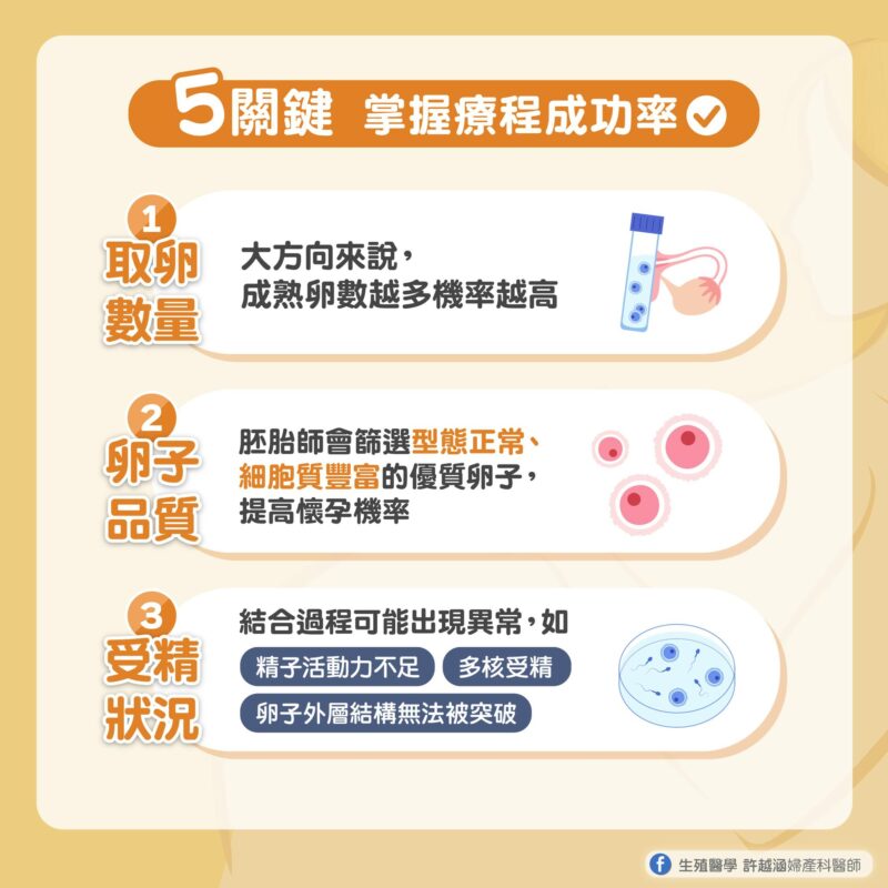 5關鍵掌握試管嬰兒療程的成功率 - 生殖醫學｜ 許越涵婦產科醫師