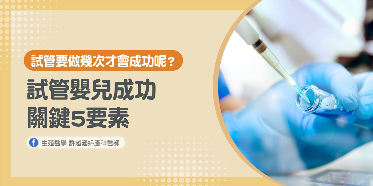 5關鍵掌握試管嬰兒療程的成功率 - 生殖醫學｜ 許越涵婦產科醫師