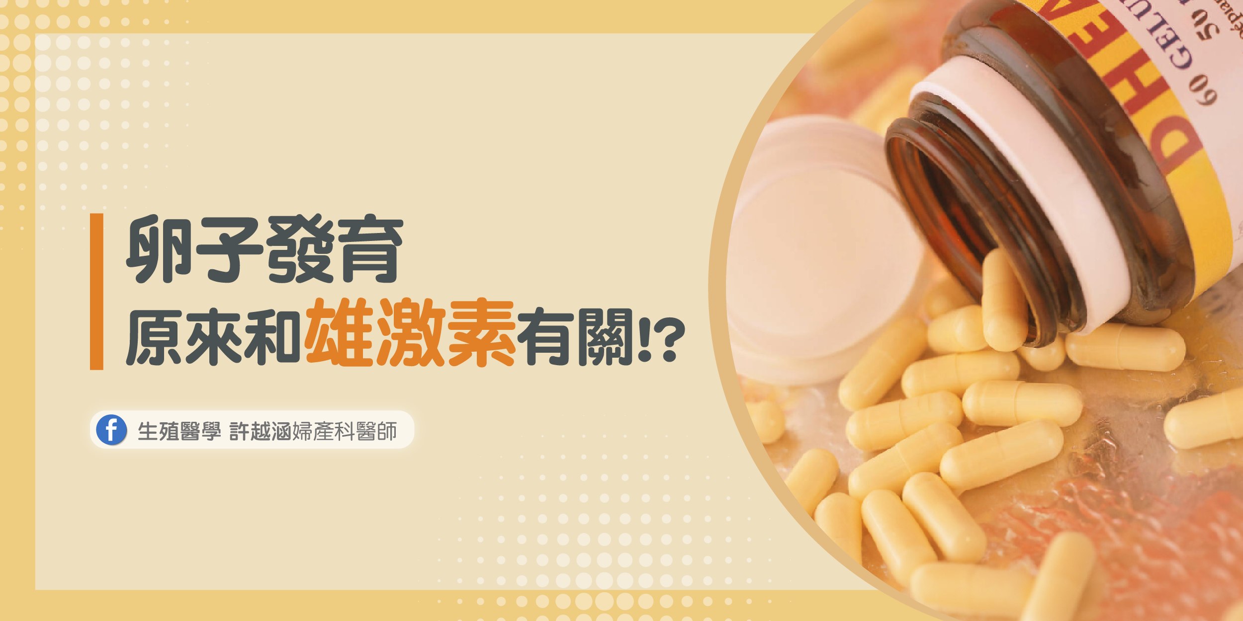 卵子發育原來和雄激素有關？！ - 生殖醫學｜ 許越涵婦產科醫師